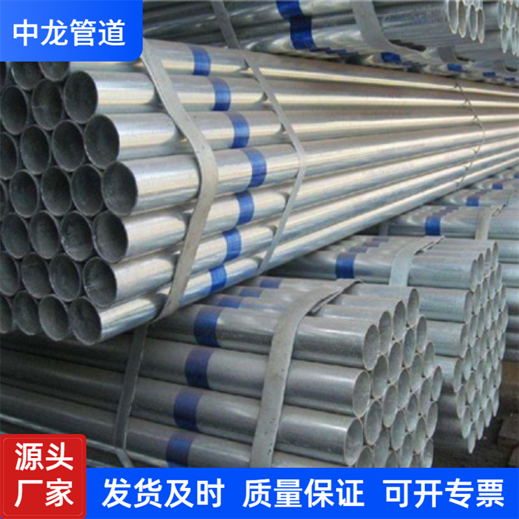 夏季上新清新主图图标 (3)