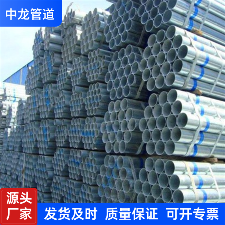 夏季上新清新主图图标 (2)