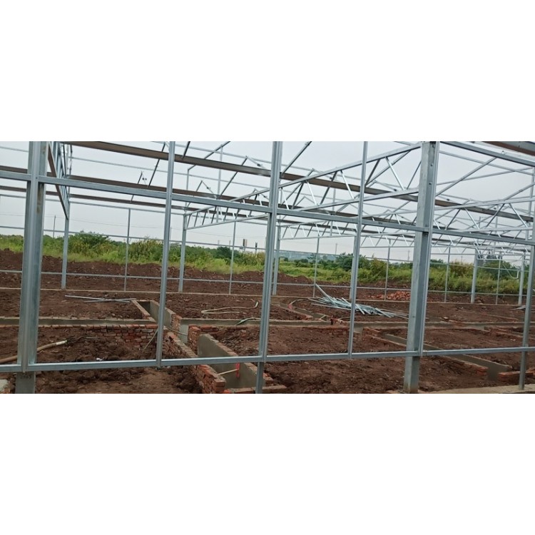 武汉养鱼玻璃智能温室大棚建成【一道农业】